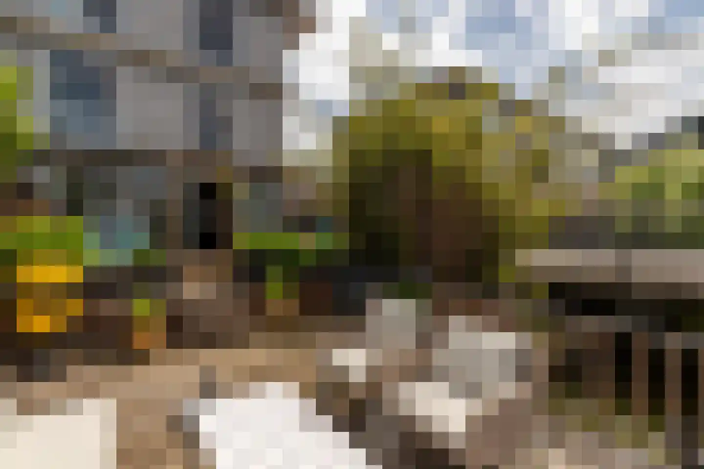 Groenland 32 Den Haag thumbnail 13