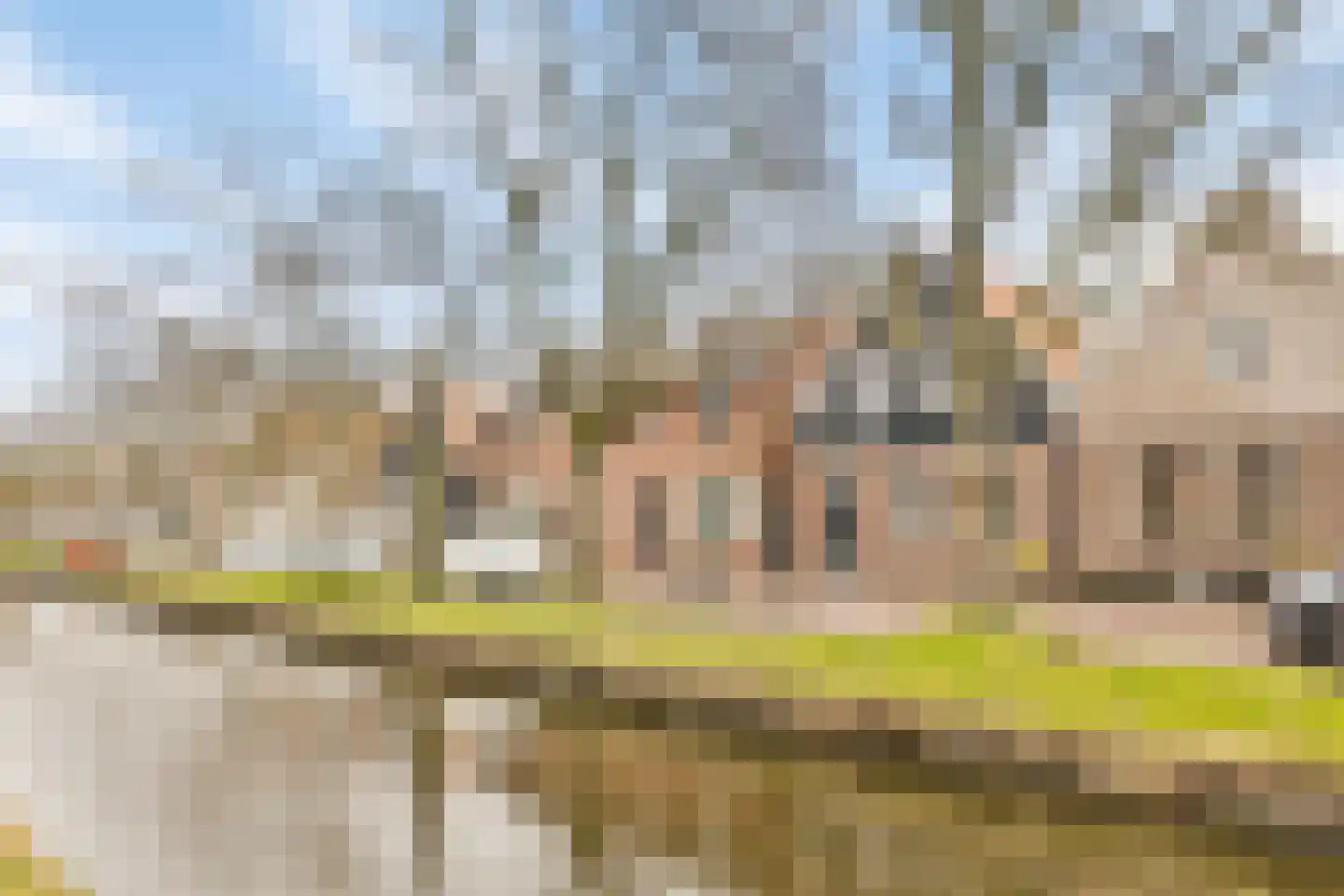 Groenland 5 Edam