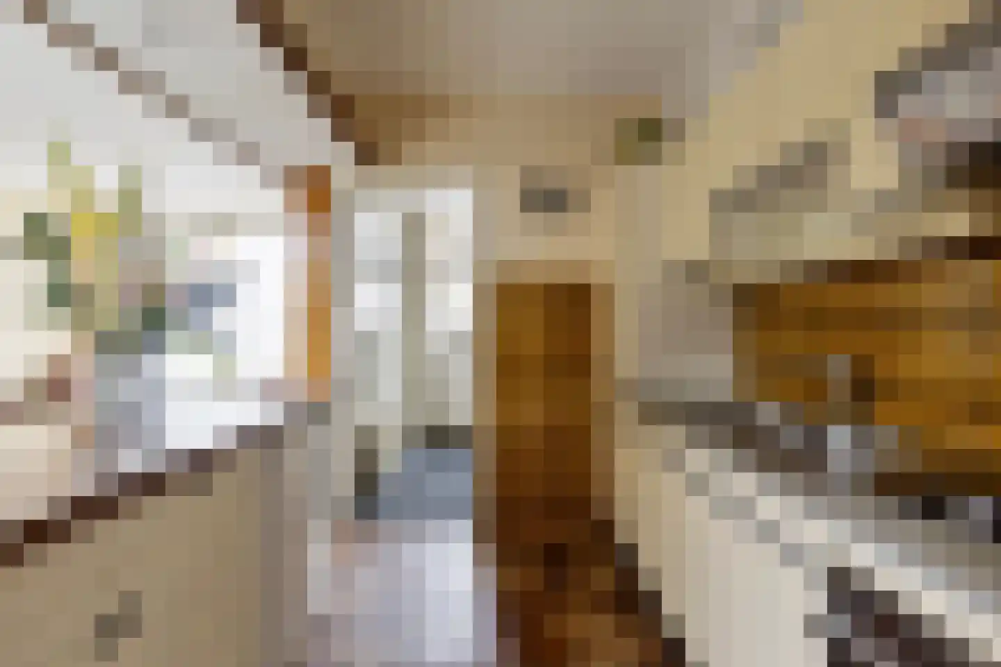 Groenland 5 Edam thumbnail 19