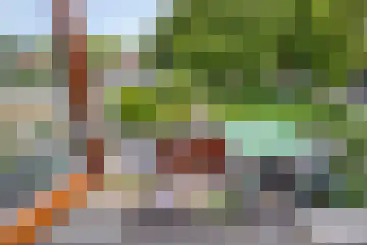 Groenland 5 Edam thumbnail 23