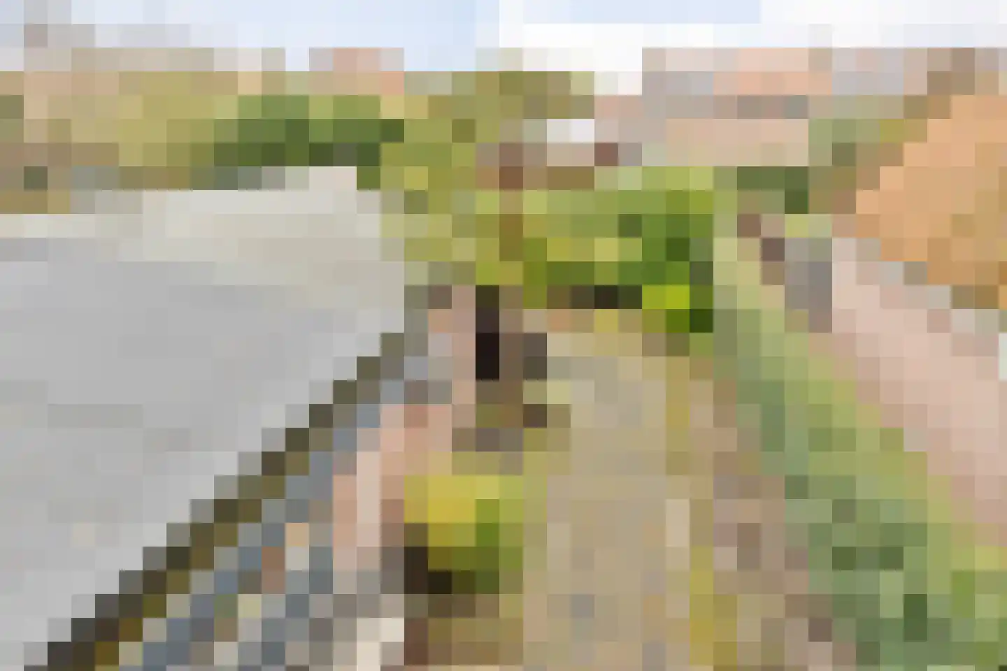 Groenland 5 Edam thumbnail 33
