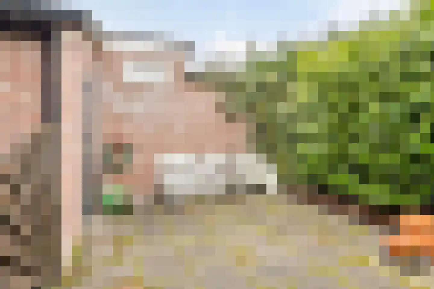 Groenland 5 Edam thumbnail 35