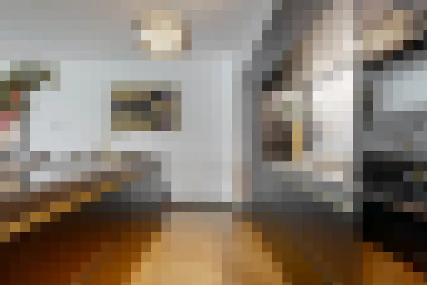 Groenland 5 Edam thumbnail 4
