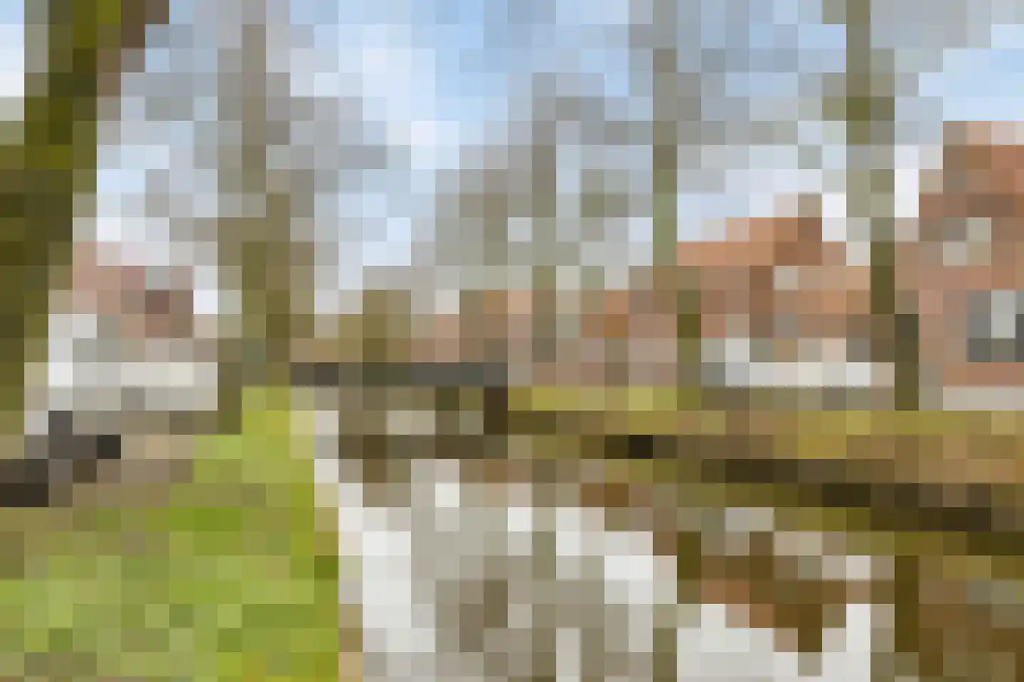 Groenland 5 Edam thumbnail 40