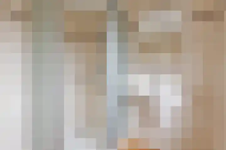 Groenland 5 Edam thumbnail 5