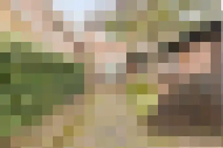 Groenland 5 Edam thumbnail 6