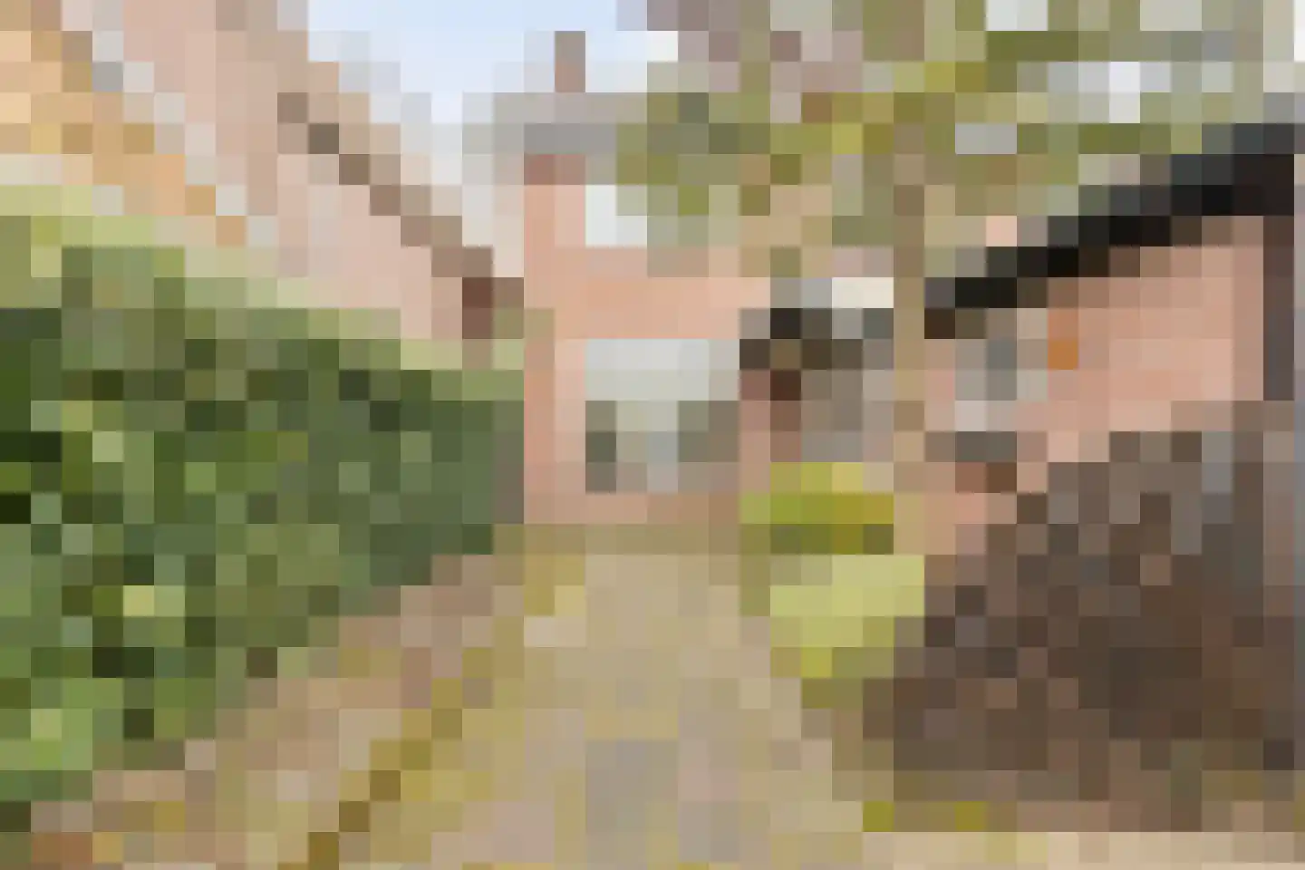 Groenland 5 Edam thumbnail 6