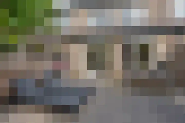 Groenland 5 Vinkeveen thumbnail 39