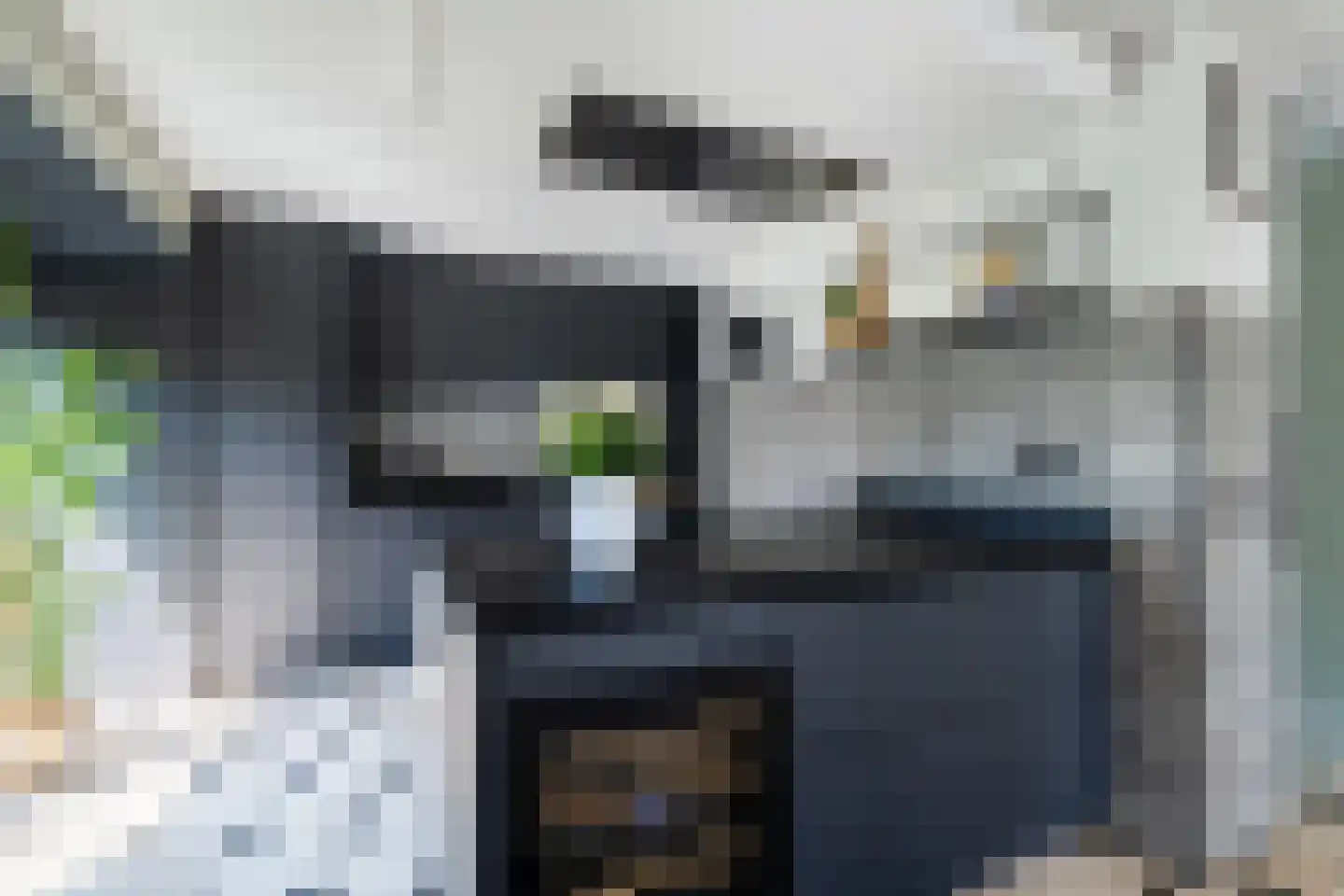 Groenland 54 Den Haag foto 3