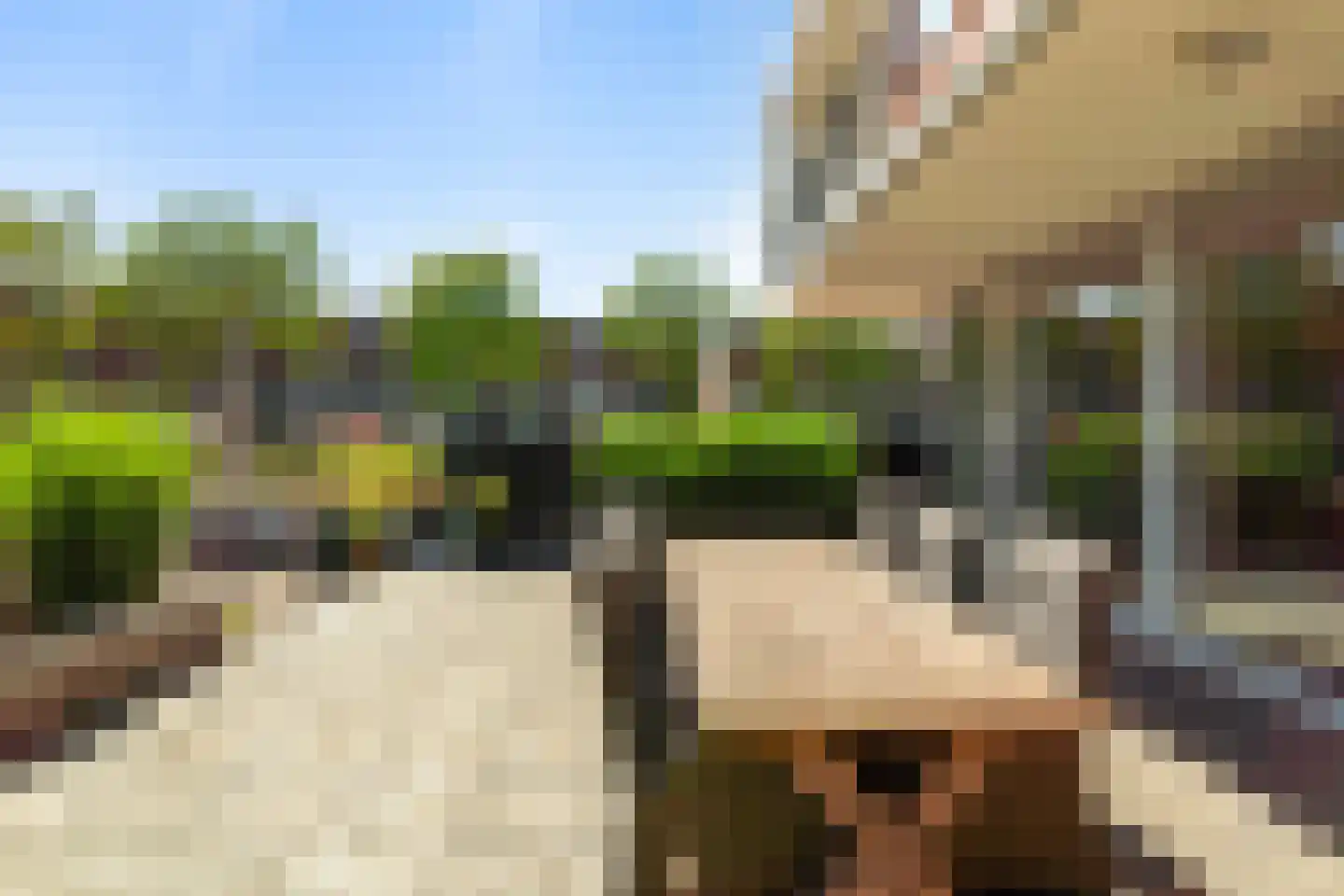 Groenland 54 Den Haag thumbnail 44