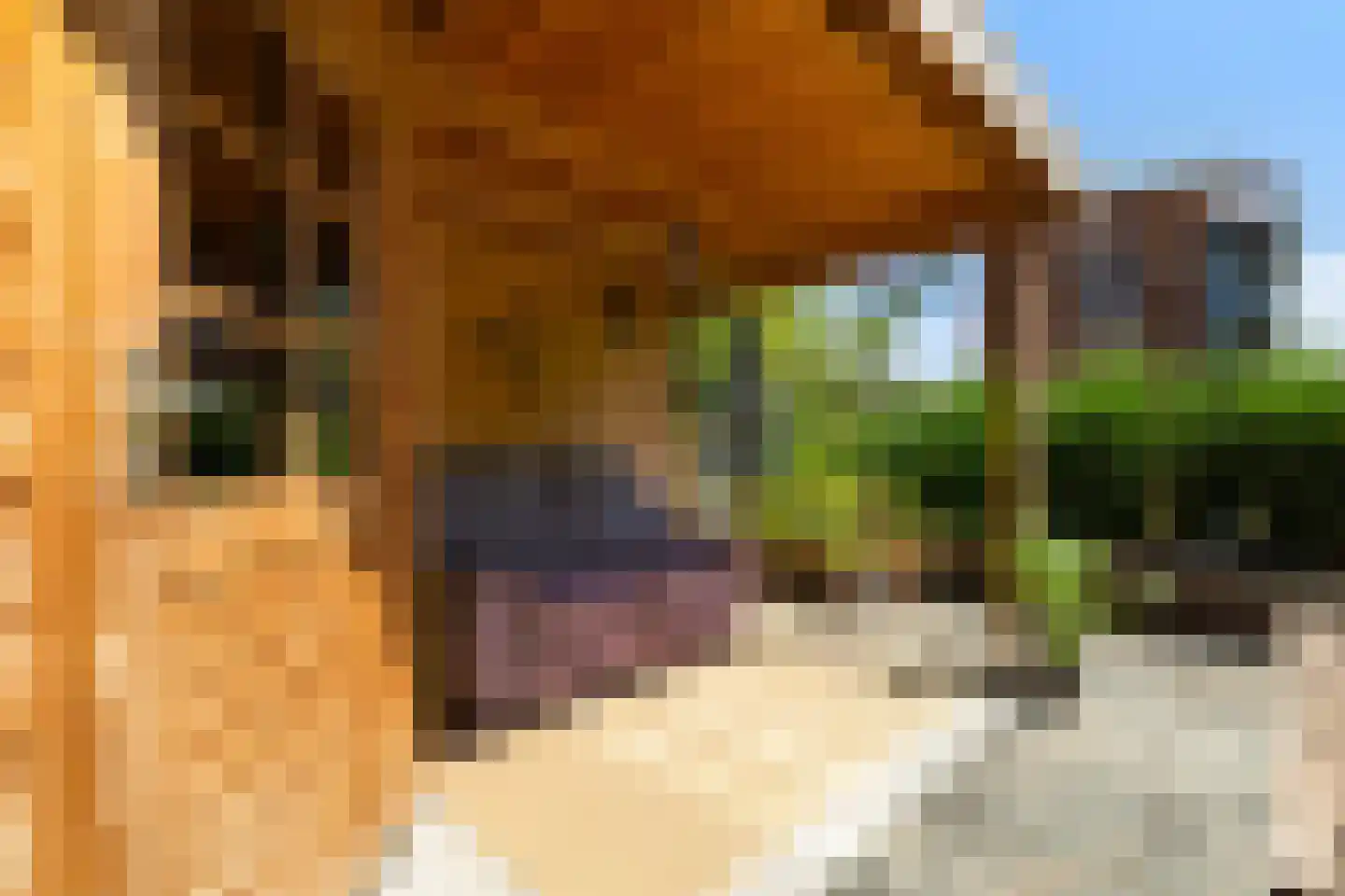 Groenland 54 Den Haag thumbnail 5