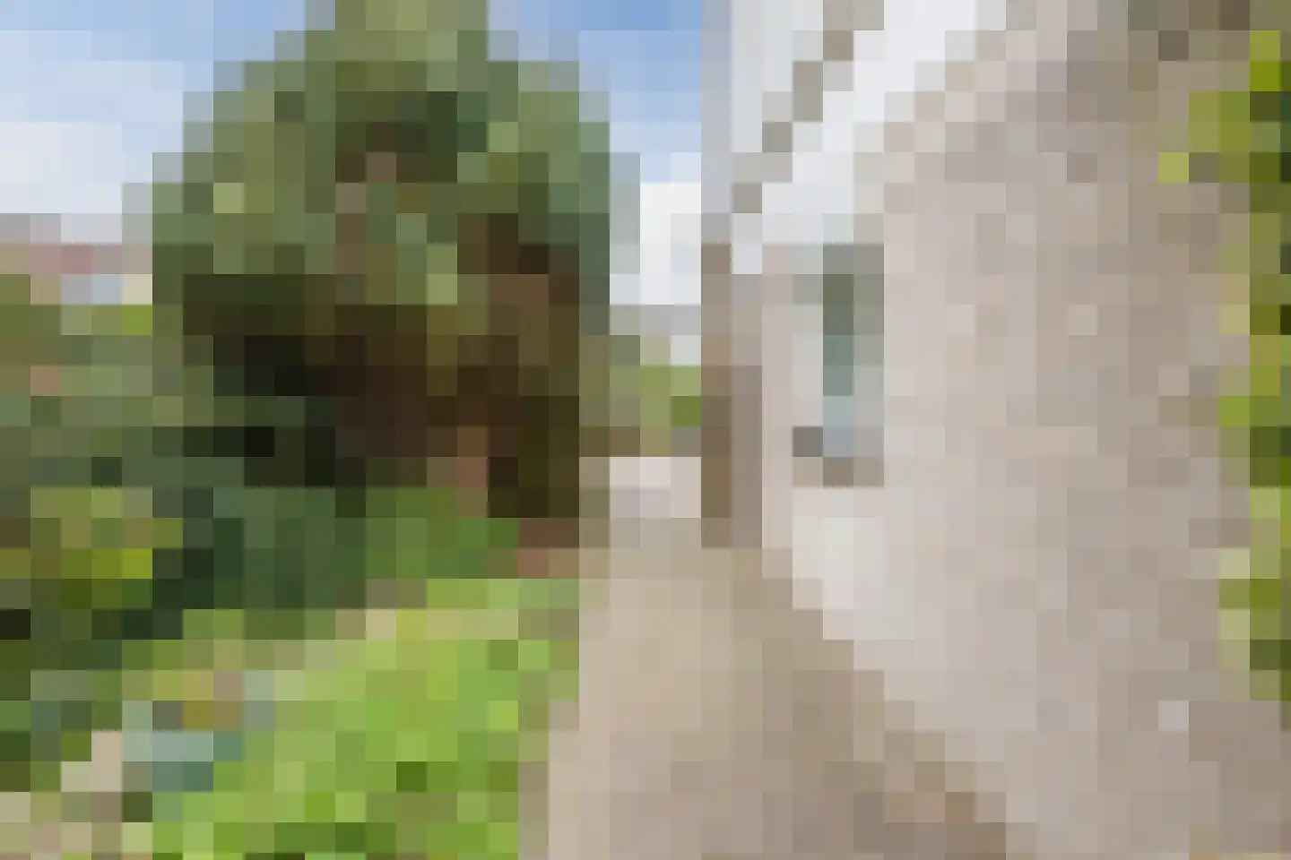 Groenland 6 Hoogeveen thumbnail 55