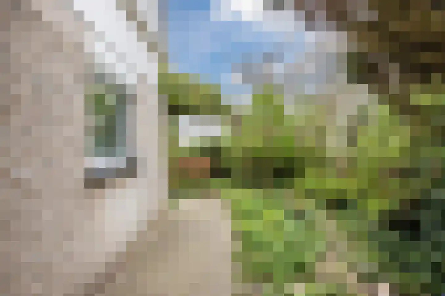 Groenland 6 Hoogeveen thumbnail 56