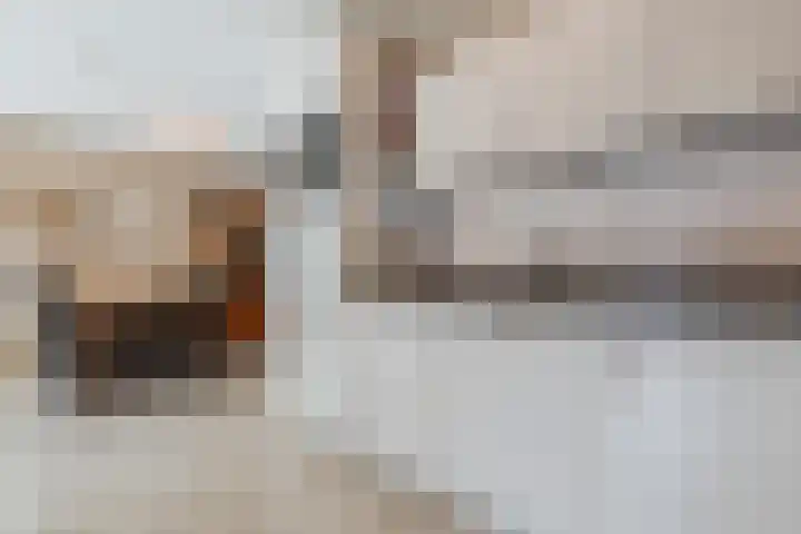 Groenland 7 Hoogeveen thumbnail 20