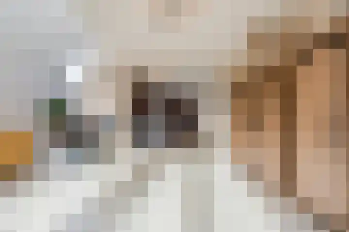 Groenland 7 Hoogeveen thumbnail 22