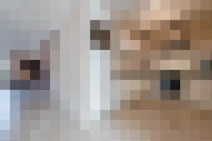 Groenland 7 Hoogeveen thumbnail 4