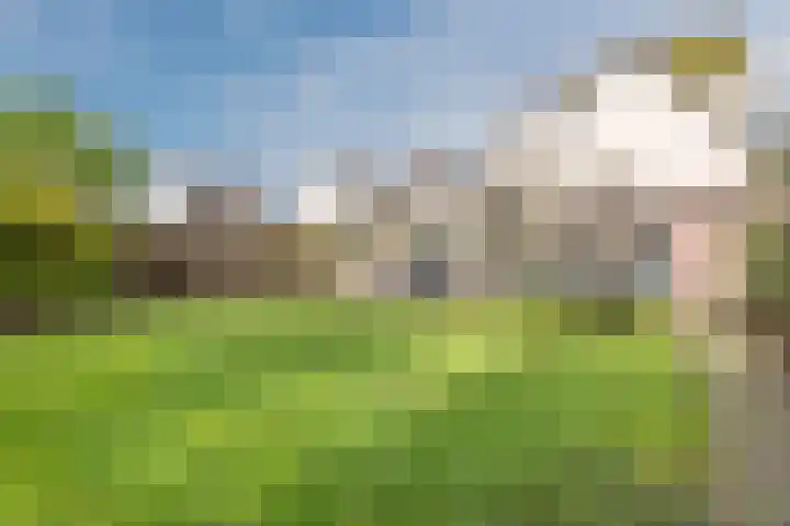 Groenland 7 Hoogeveen thumbnail 47