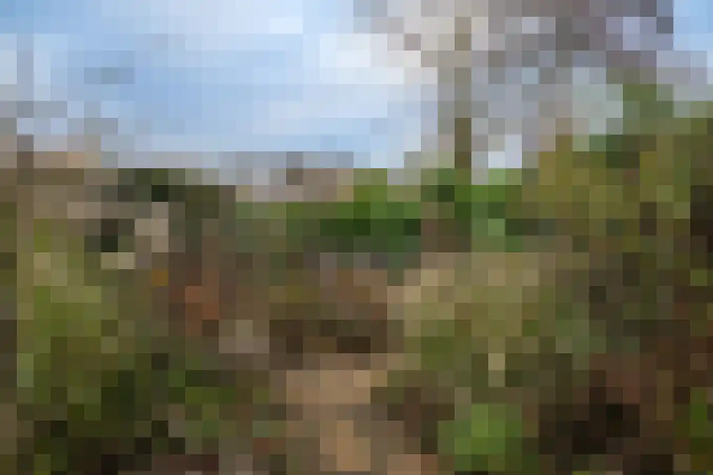 Groenlandhorst 3 Enschede thumbnail 30