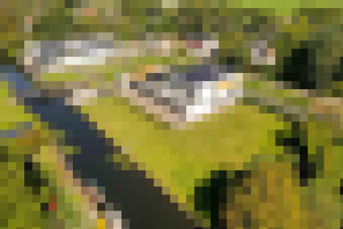 Groenlandse kade 101 A Vinkeveen thumbnail 53