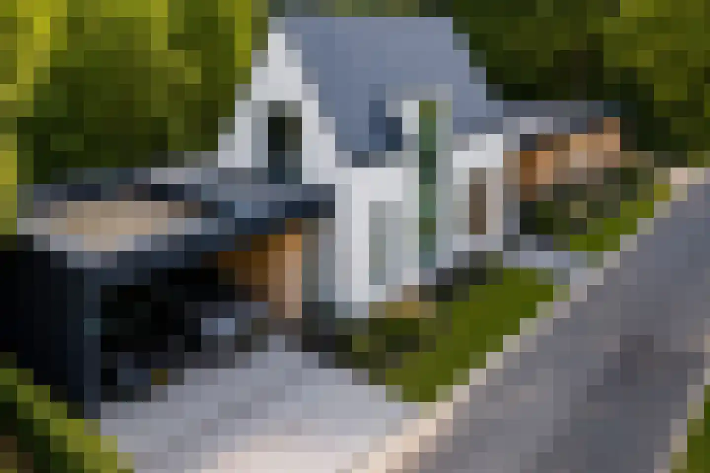 Groenlandse kade 12 Vinkeveen thumbnail 5