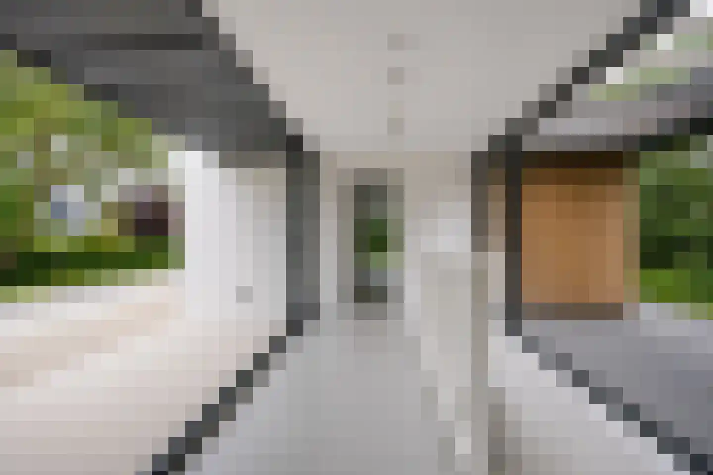 Groenlandse kade 12 Vinkeveen thumbnail 6