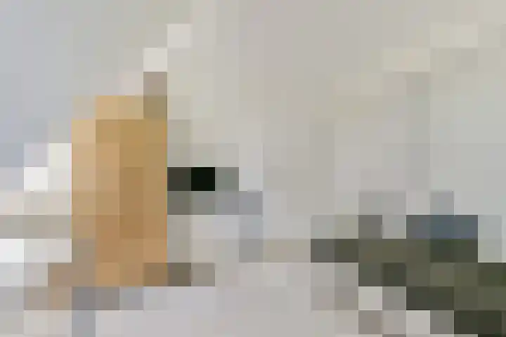 Groenlandse kade 20 Vinkeveen thumbnail 18