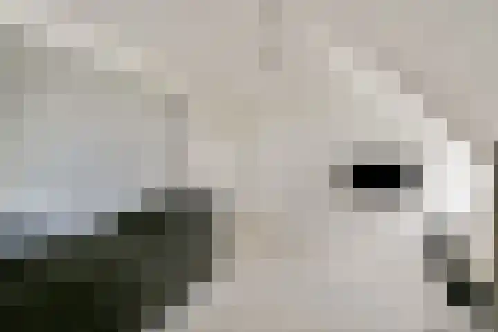 Groenlandse kade 20 Vinkeveen thumbnail 20