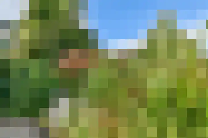 Groenlandse kade 20 Vinkeveen thumbnail 34