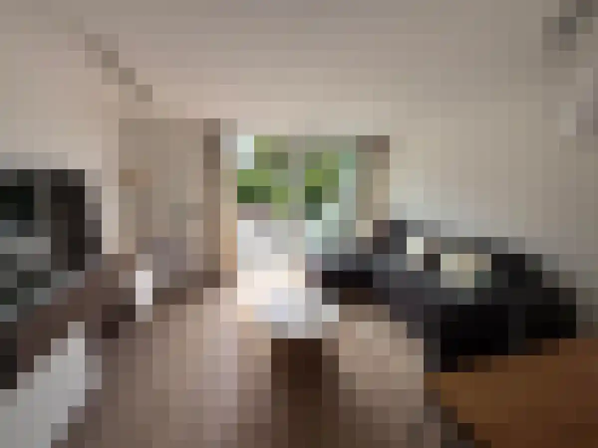 Groenlandse kade 27 Vinkeveen thumbnail 5
