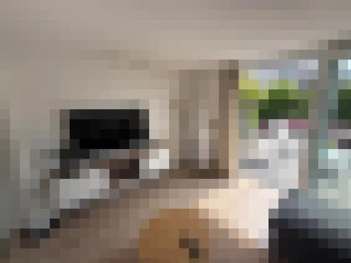 Groenlandse kade 27 Vinkeveen thumbnail 6