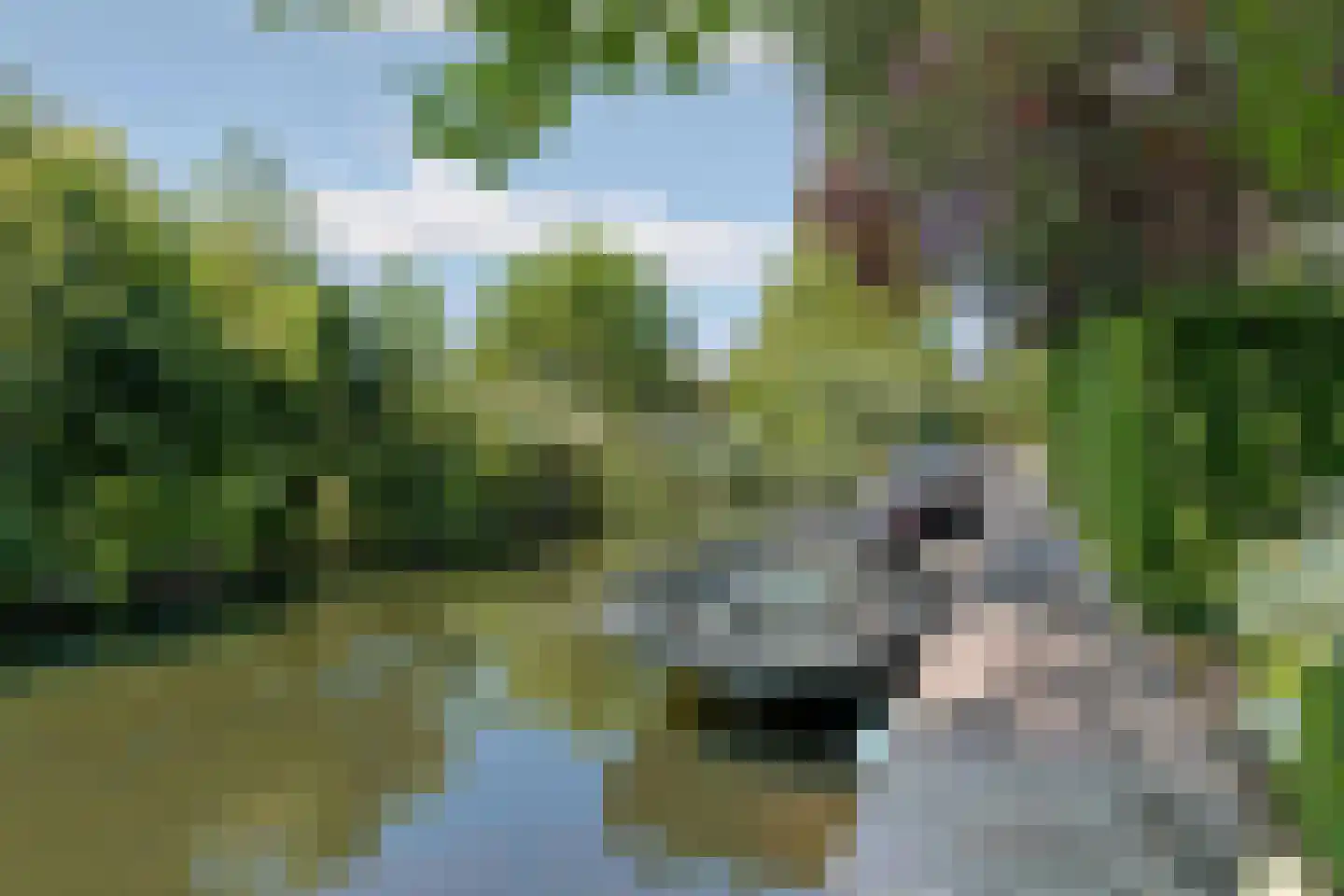 Groenlandse kade 59 18AP Vinkeveen thumbnail 27