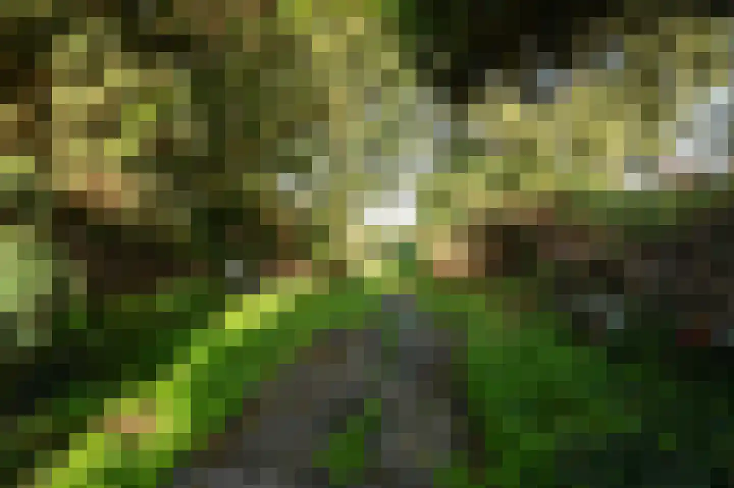 Groenlandse kade 59 A Vinkeveen thumbnail 6