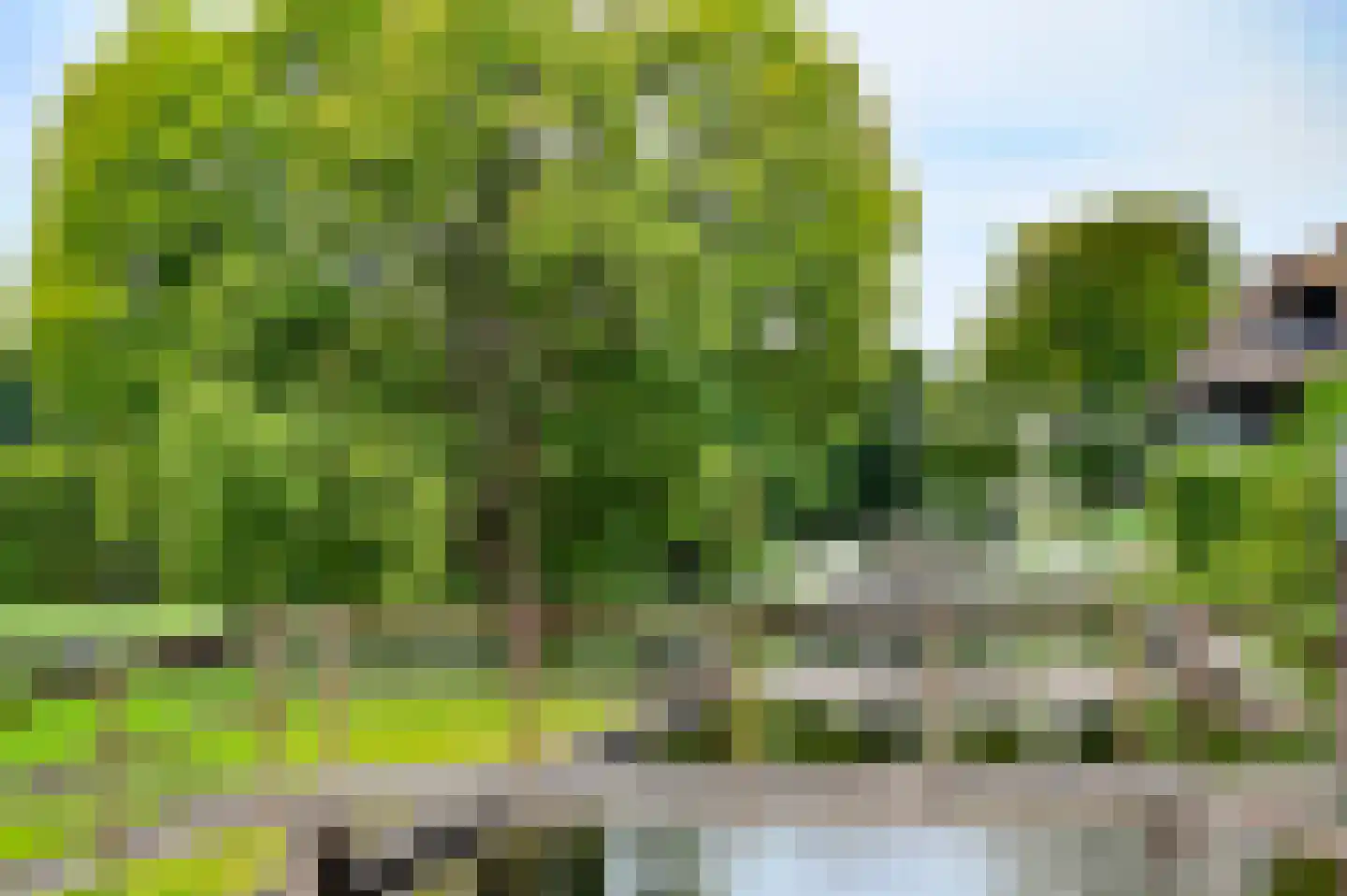 Groenlandse kade 63 Vinkeveen thumbnail 24