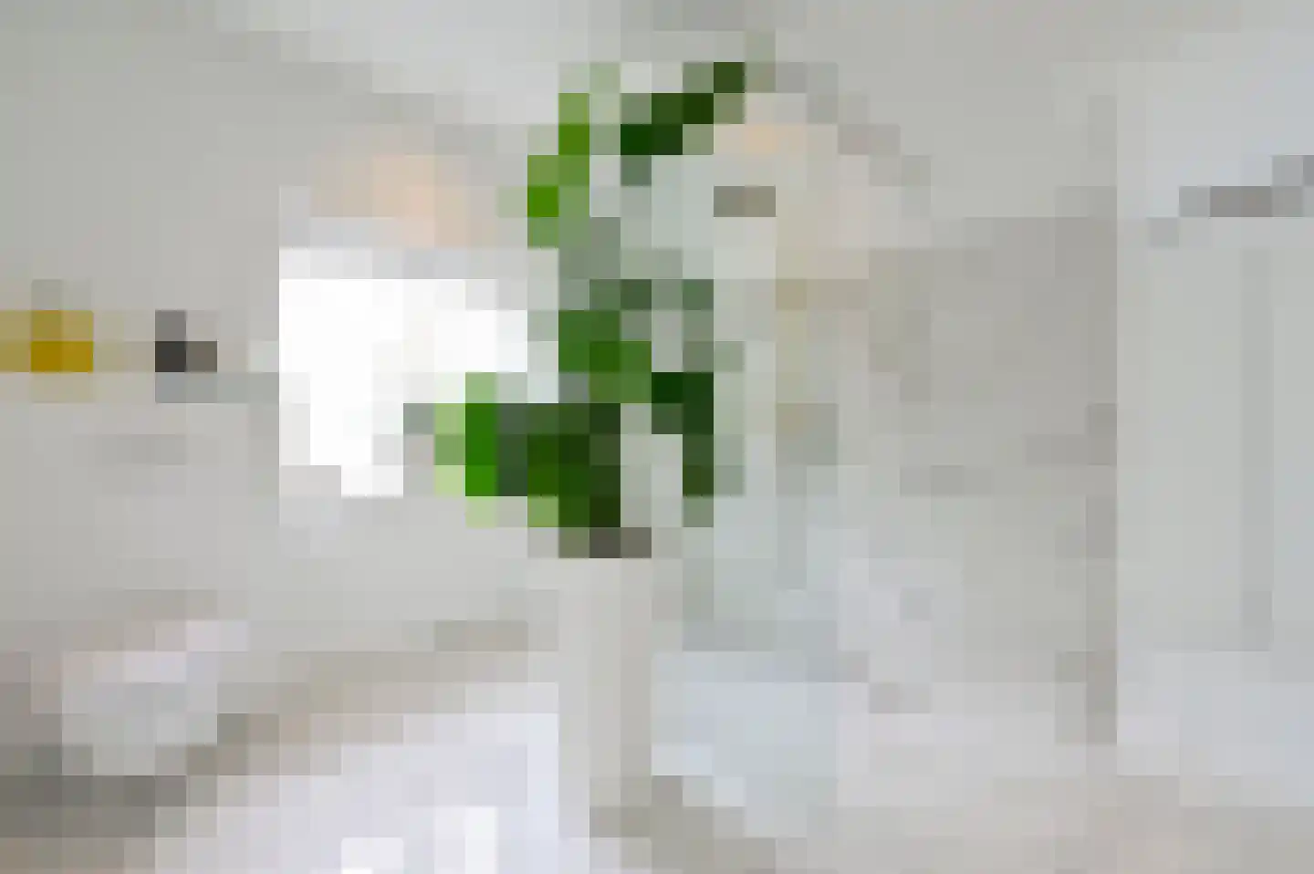 Groenlandse kade 63 Vinkeveen thumbnail 27