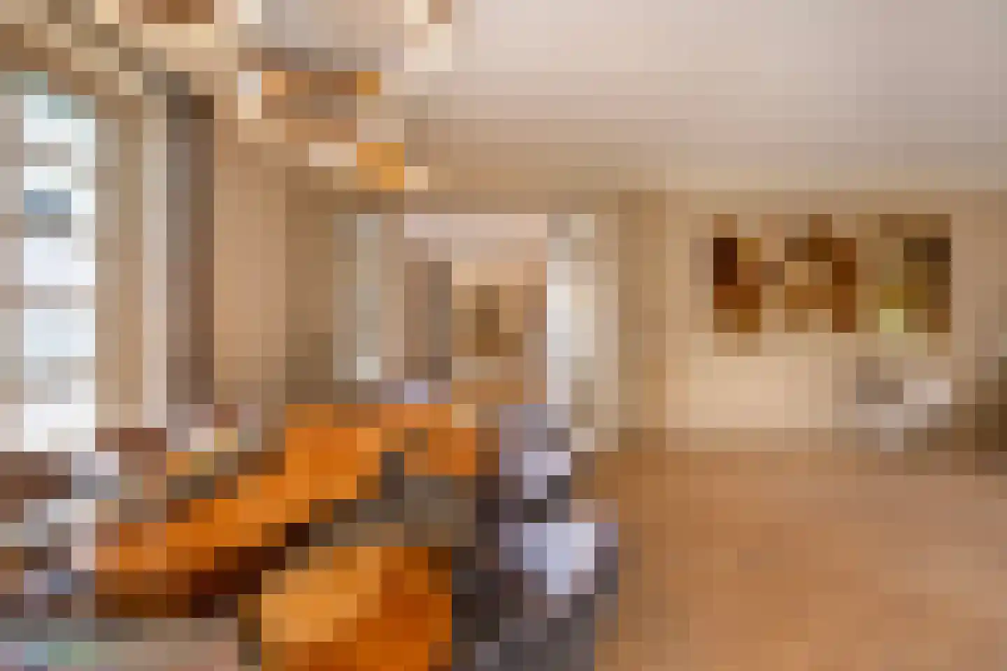 Groenlandse kade 69 Vinkeveen thumbnail 16