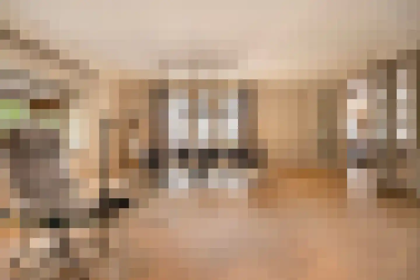 Groenlandse kade 69 Vinkeveen thumbnail 17