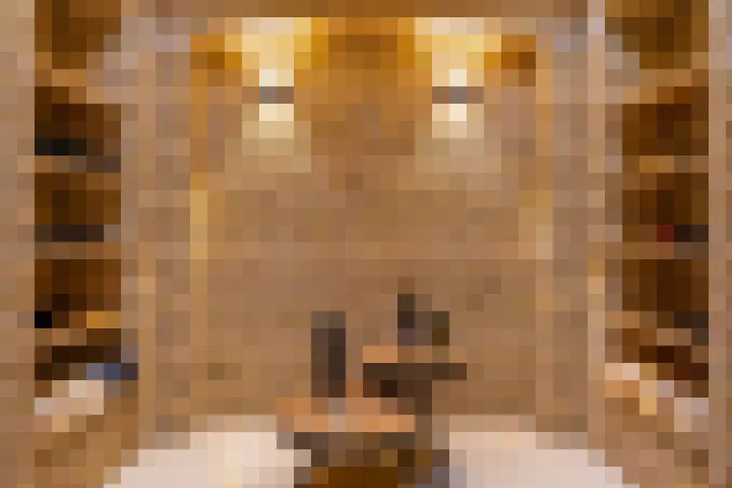 Groenlandse kade 69 Vinkeveen thumbnail 37
