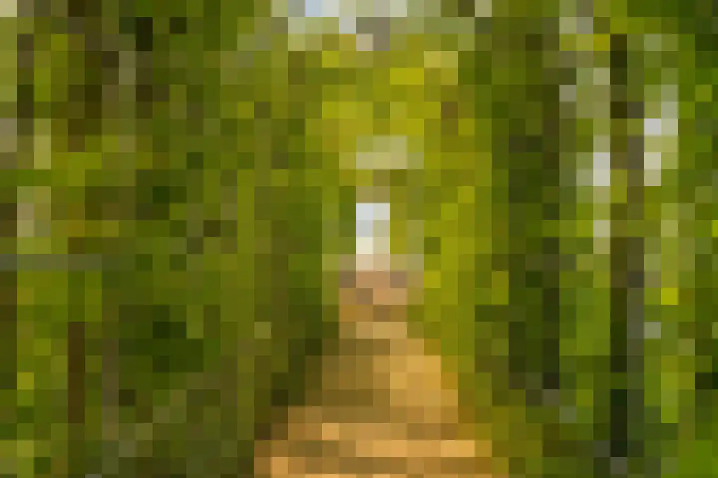 Groenlandse kade 69 Vinkeveen thumbnail 54