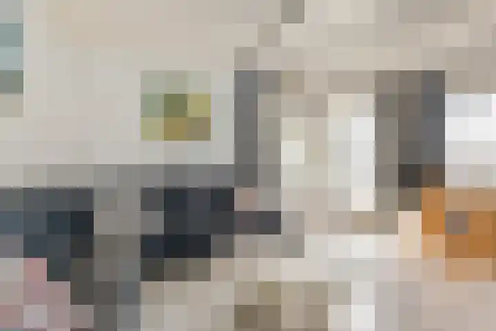 Groenlandse kade 79 Vinkeveen thumbnail 10