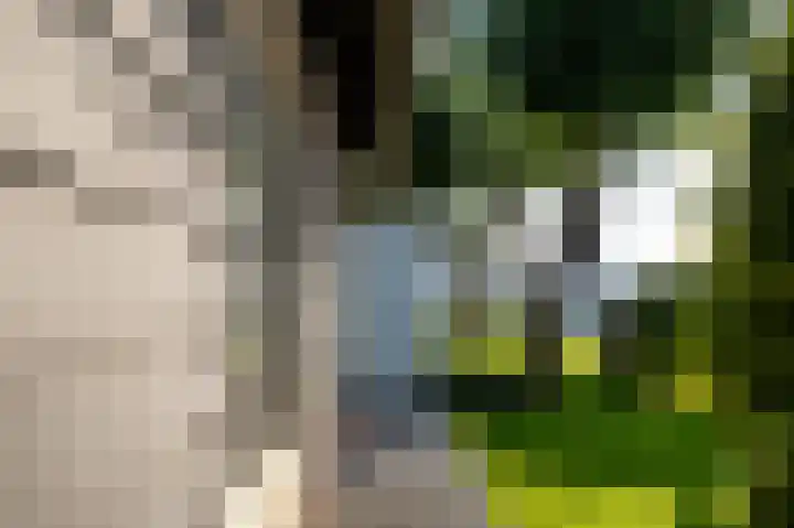 Groenlandse kade 81 Vinkeveen thumbnail 10