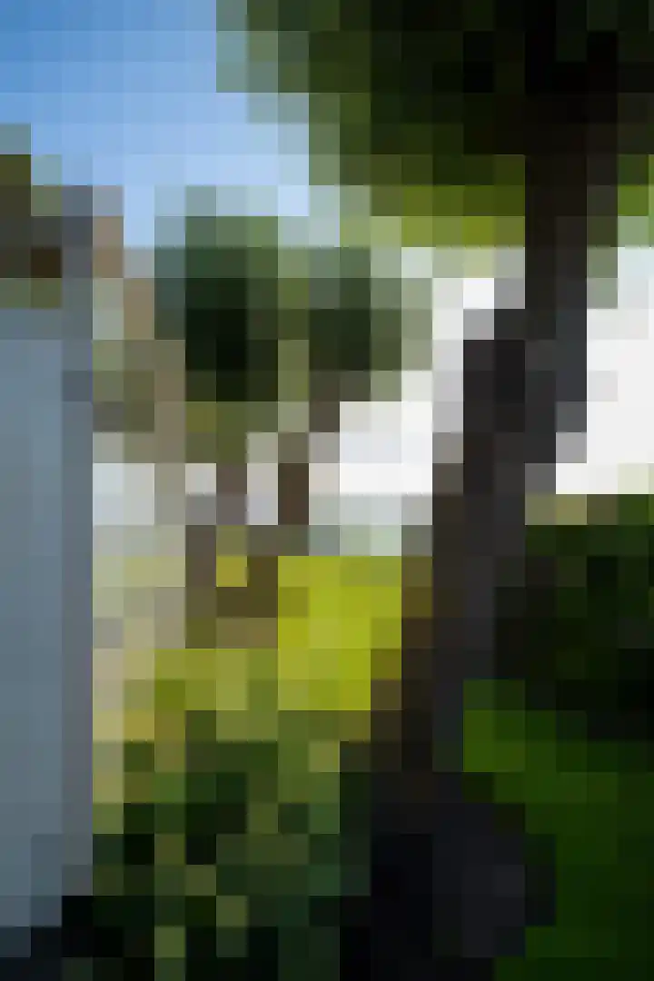 Groenlandse kade 81 Vinkeveen thumbnail 11