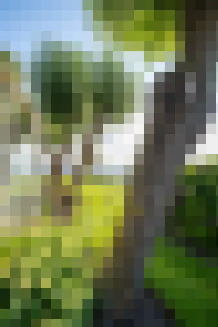 Groenlandse kade 81 Vinkeveen thumbnail 12