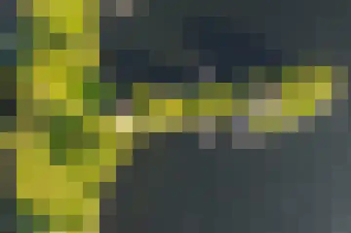 Groenlandse kade 81 Vinkeveen thumbnail 5