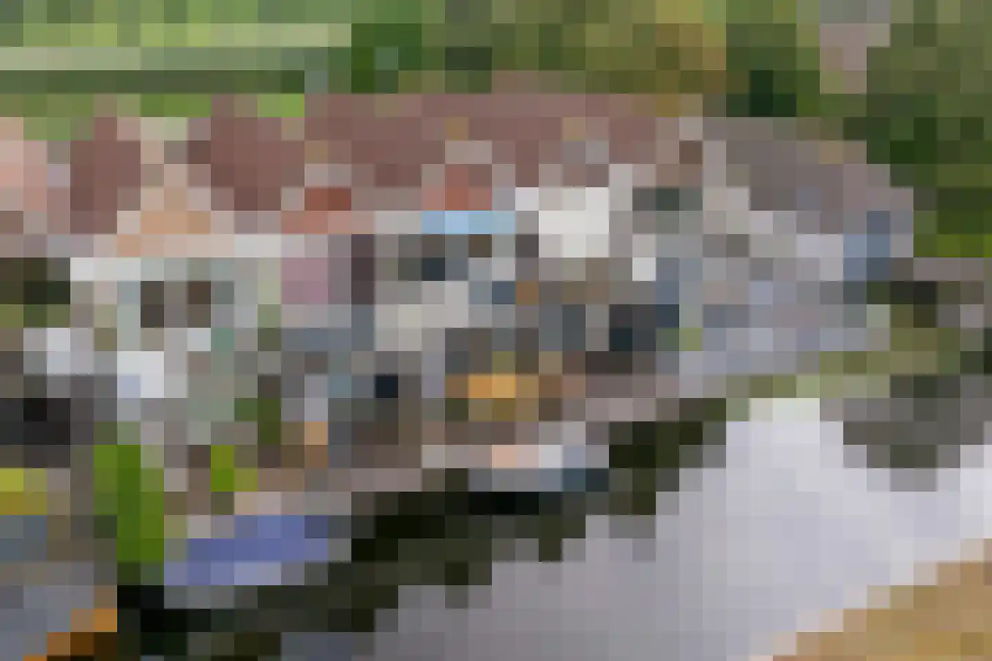 Groenlandse kade 9 F Vinkeveen thumbnail 25