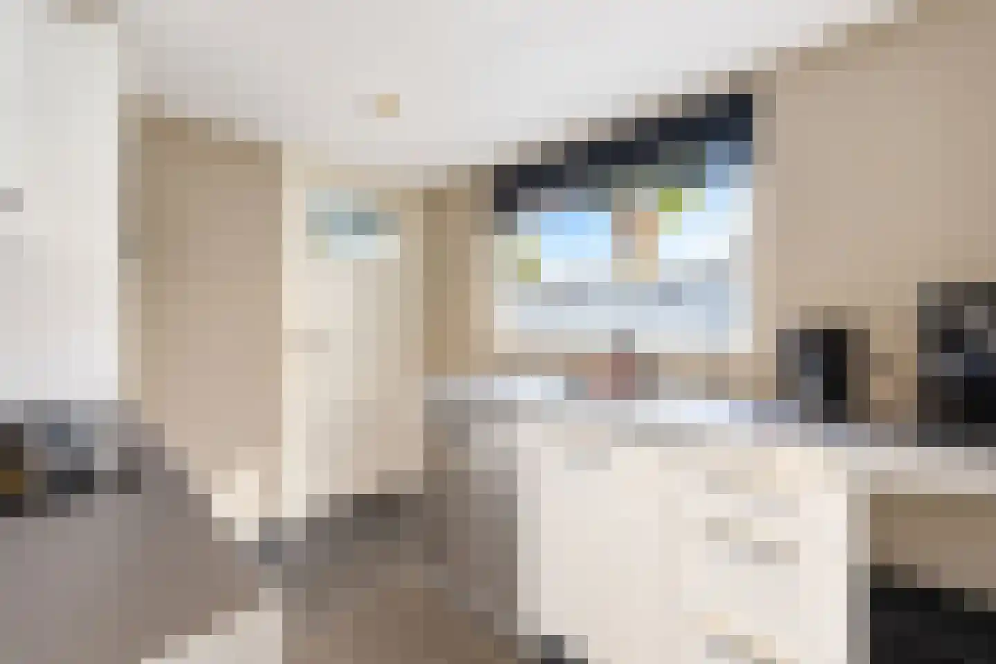 Groenlandsstraatje 34 Tiel thumbnail 31