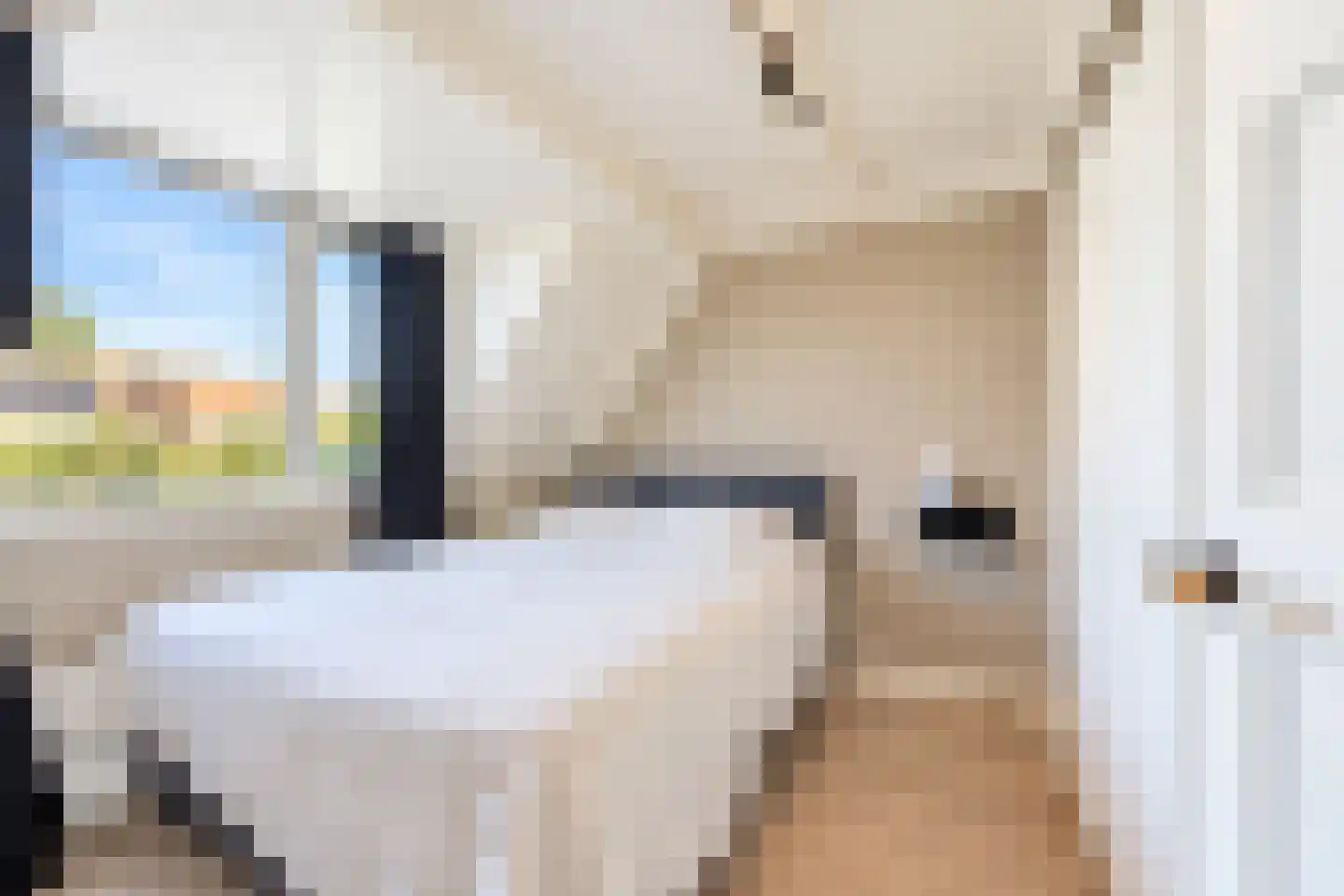 Groenlandsstraatje 34 Tiel thumbnail 45