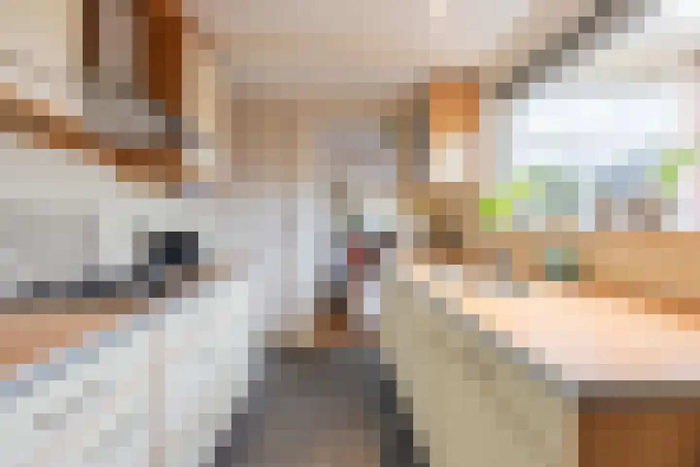 Groenlandsstraatje 36 Tiel thumbnail 20