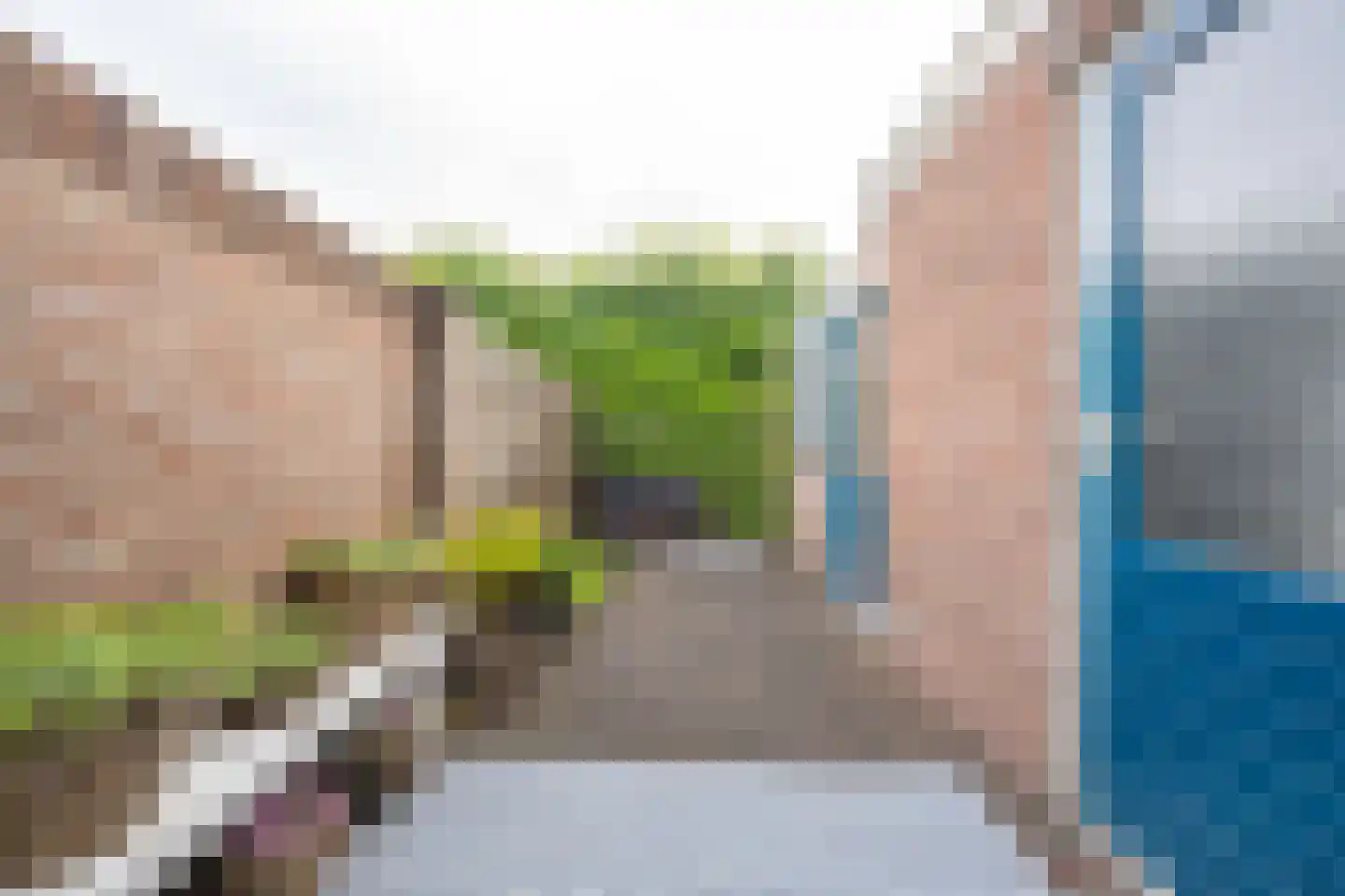 Groenlandsstraatje 36 Tiel thumbnail 26