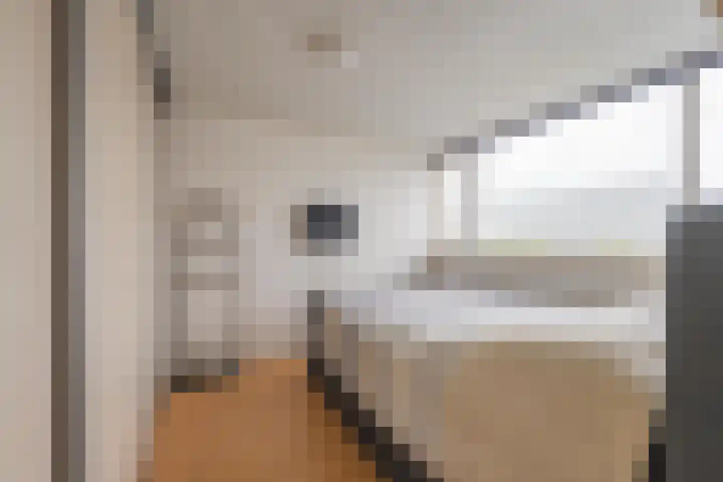 Groenlandsstraatje 36 Tiel thumbnail 34