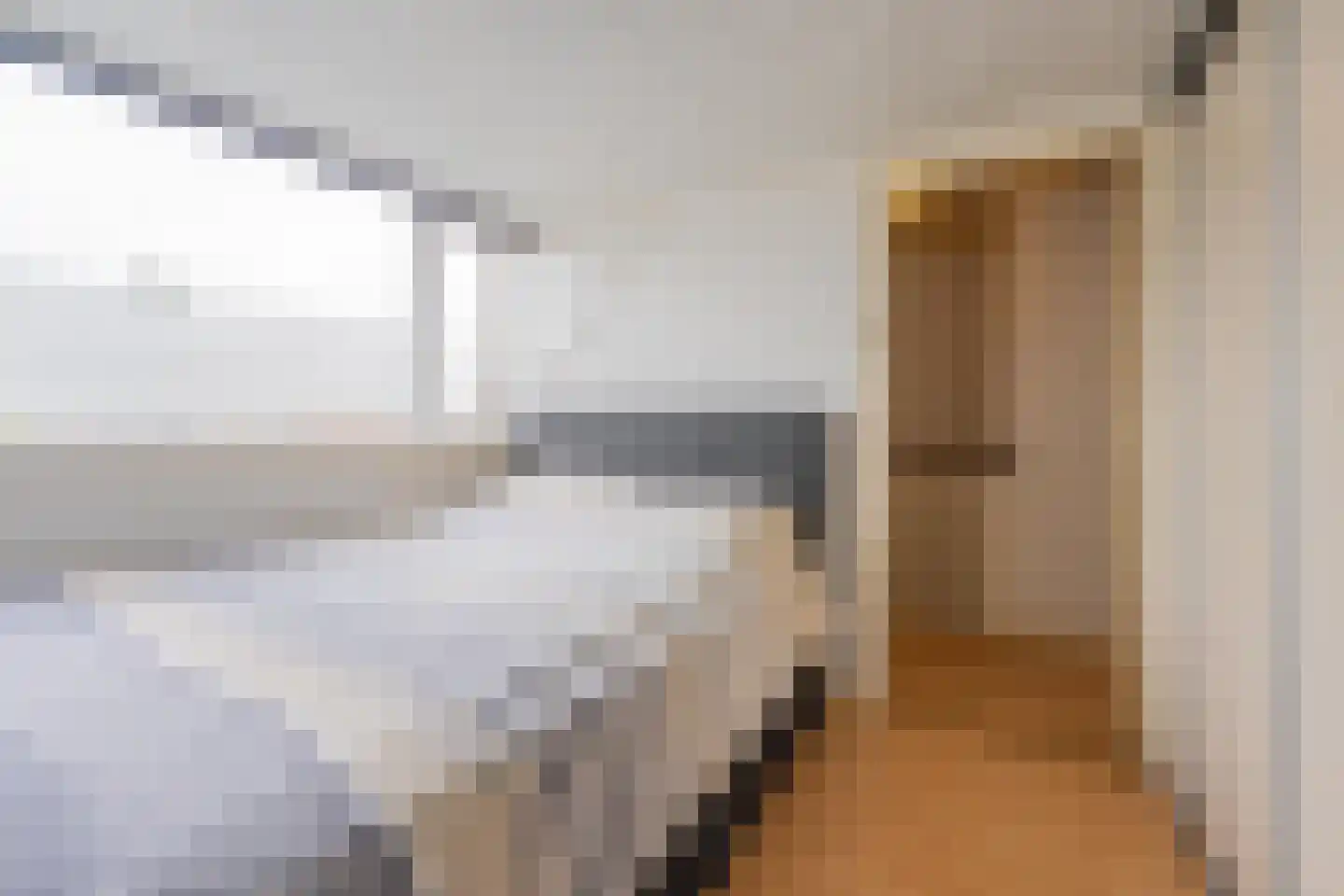 Groenlandsstraatje 36 Tiel thumbnail 35